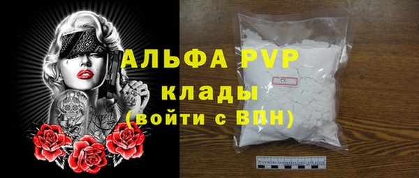 PSILOCYBIN Болотное