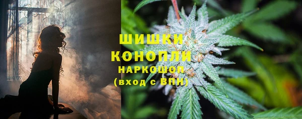 бутират Дмитриев