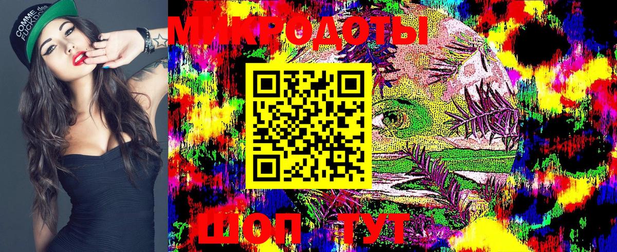 Псилоцибиновые грибы MAGIC MUSHROOMS Вязники
