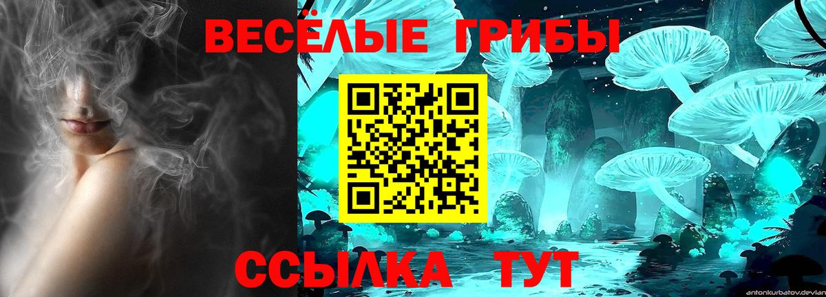 купить   Вязники  Галлюциногенные грибы мухоморы 